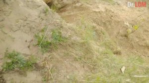 ✅Как сделать земляной гончарный горн на дровах