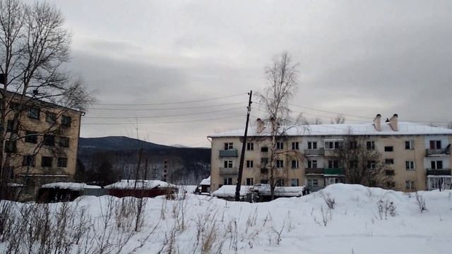 РОСОМАХ.Атака бешеных голубей в Бодайбо (РашенТезис) смотреть онлайн