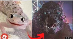 I'm a Big Kid Now - Cute Animals Grow Up TikTok..Tik Tok On Top..Tik Tok On Top..Tik Tok On Top..Tik