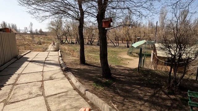 Зоопарк БУГУ ЭНЕ в Караколе | ПРО Каракол смотреть онлайн