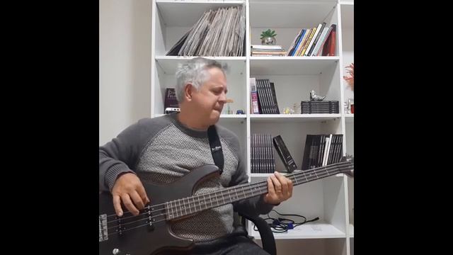 Fox on the Run - The Sweet Bass Cover bass by Dejalma Cremonese смотреть онлайн