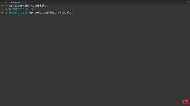WP-CLI FOR BEGINNERS - Manage multiple WordPress sites easy смотреть онлайн