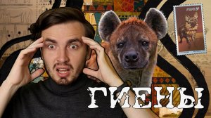 Гиены: Самый жёсткий матриархат и детоубийство