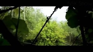 РЕАЛЬНЫЕ СЛУЧАИ ПЕРЕМЕЩЕНИЯ ЛЮДЕЙ ВО ВРЕМЕНИ. Большая подборк