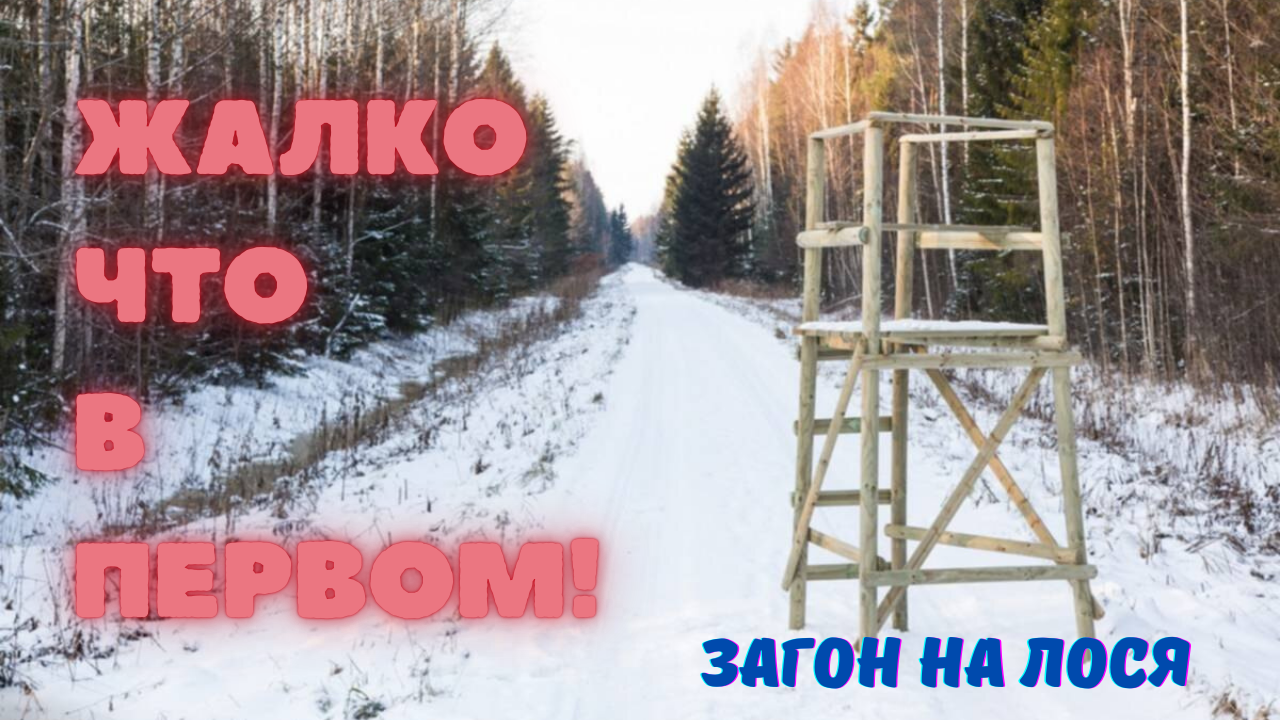 Загон на лося! Загонная охота. смотреть онлайн