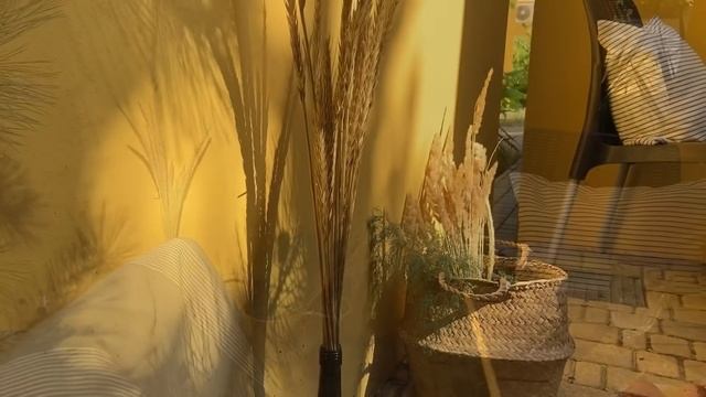ОБУСТРОИЛА УЮТНЫЙ ДВОРИК В ОТЕЛЕ. ДО И ПОСЛЕ. смотреть онлайн