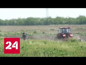 Запорожская область начала работать с Россией - Россия 24