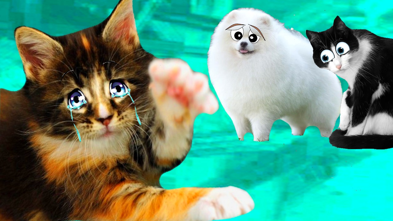 ПОМОГИТЕ КОТЁНКУ! смотреть онлайн