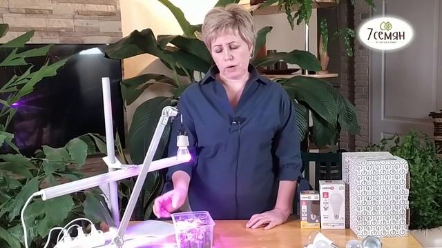 ВЫБИРАЕМ ЛАМПУ ДЛЯ ПОДСВЕТКИ РАССАДЫ! ОГУРЦЫ СКАЖУТ "СПАСИБО"! смотреть онлайн