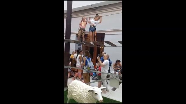 2023 год  Мои внуки