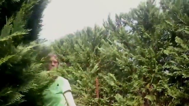 США. Лабиринт из кустов и веревочный парк. Развлечения для детей. смотреть онлайн
