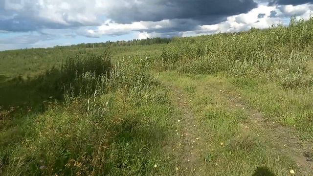 Прогулка по летнему лесу. Часть 2. Силосные ямы, чаши, откуда пошли топонимы нашего села? смотреть онлайн