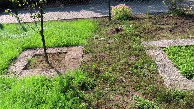 Шашлыки на дачи