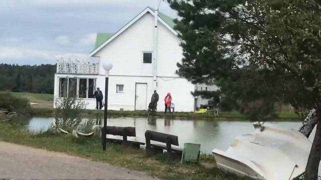 Форель на селедку, безлимит смотреть онлайн