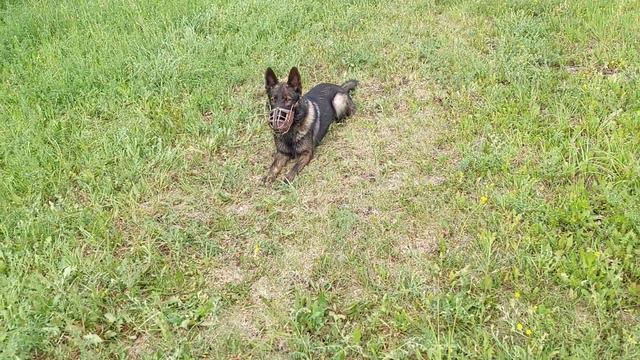 Олимп. 8 уровень команды лежать-5 минут (супер выдержка). смотреть онлайн