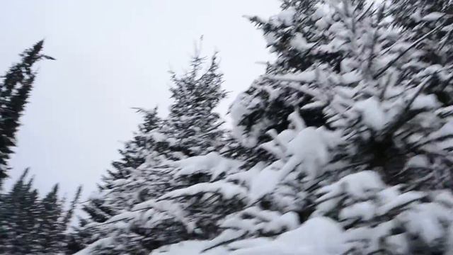 Лес на том берегу Чепцы. Балезино смотреть онлайн