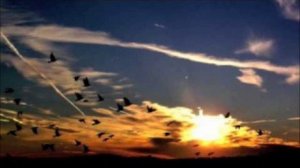 Zetandel ft Liliya - The Lost Love (Zetandel Chilldown mix)