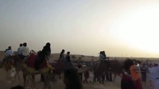 Desert Trip Camel Racing смотреть онлайн