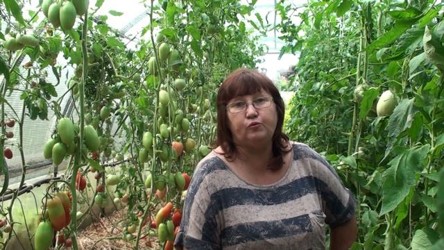 О заказе семян. Как заказать и купить семена томатов редких и коллекционных сортов. смотреть онлайн