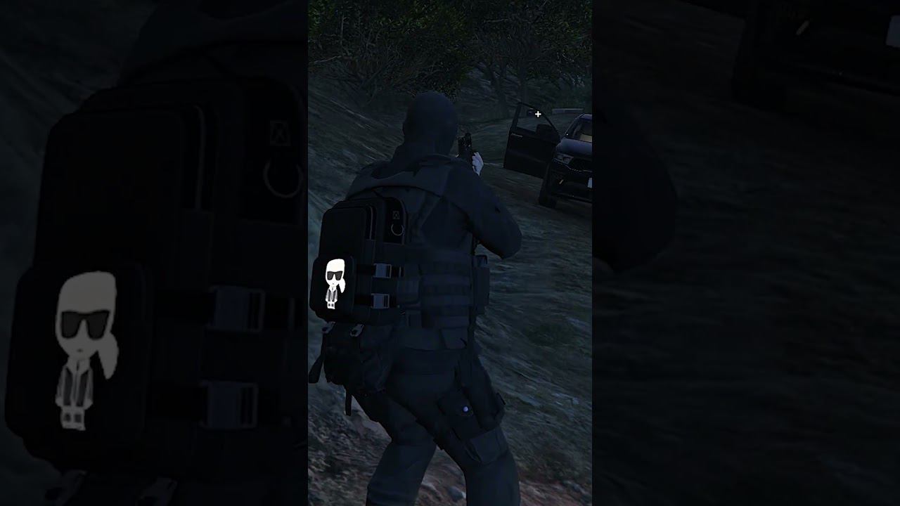 GTA5 Дубровский (Файт за ЕМС) смотреть онлайн