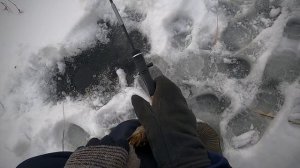 Ловлю ротанов. Рыбалка радует. Зимняя ловля ротана.