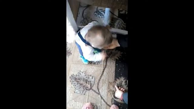 Сею, вею, посевая! Посевание от всей души Посевалки на Старый Новый год 2020 01.14.2020г смотреть онлайн