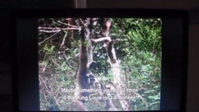 DisneyPedia: JungleMania смотреть онлайн