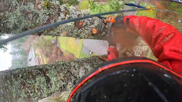 Sketchy Tree Removal Near Houses & Power Lines! смотреть онлайн