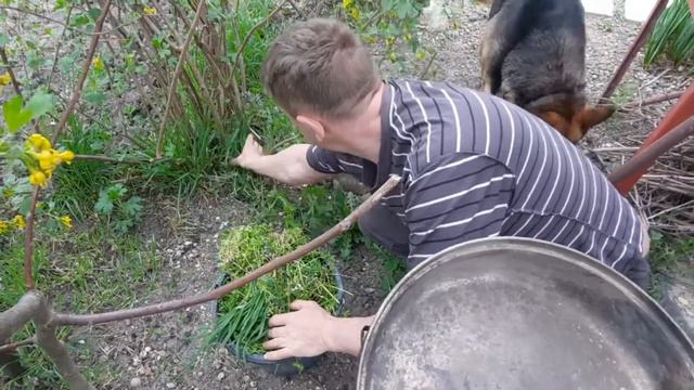 Я больше не фанат Греты Тунберг// Полное видео в описании смотреть онлайн