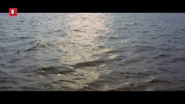 All the best shark attacks from Jaws ? 4K смотреть онлайн