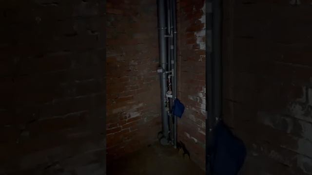 Квартира на Московской 158 смотреть онлайн