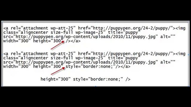 Remove The Border From Wordpress Images смотреть онлайн