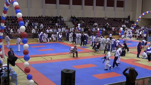 Чемпионат и Первенство России ро Тхэквондо МФТ смотреть онлайн