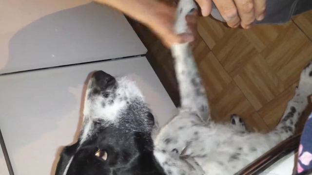 Лежать смотреть онлайн