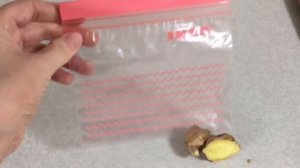 Как правильно хранить имбирь в холодильнике