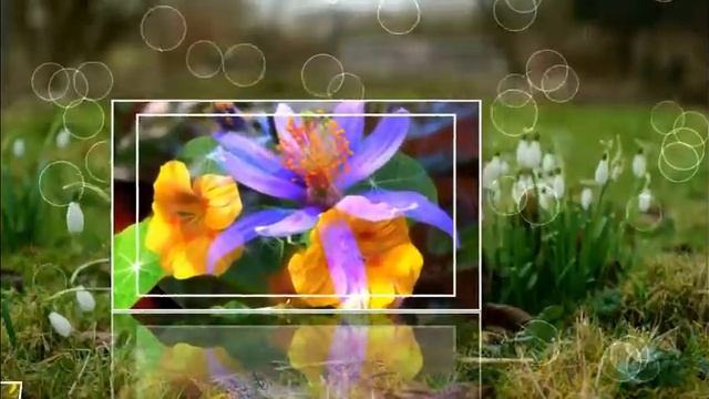 ВАЛЬС ЦВЕТОВ, ПОДАРОК ЖЕНЩИНАМ К 8 МАРТА смотреть онлайн