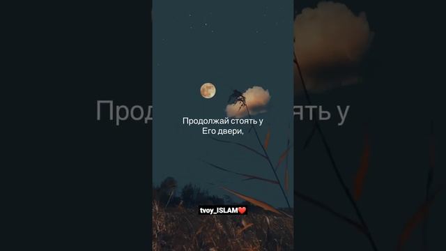 Потерпи, и терпение твоё только от Аллаха.(16:127) смотреть онлайн