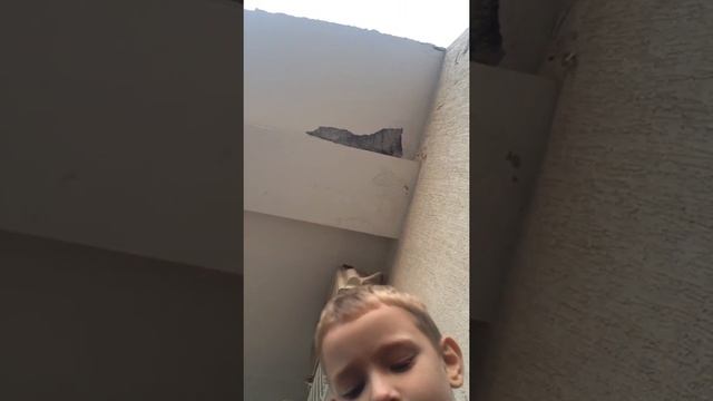 Эксперимент: что крепче ракушняк или гранит смотреть онлайн