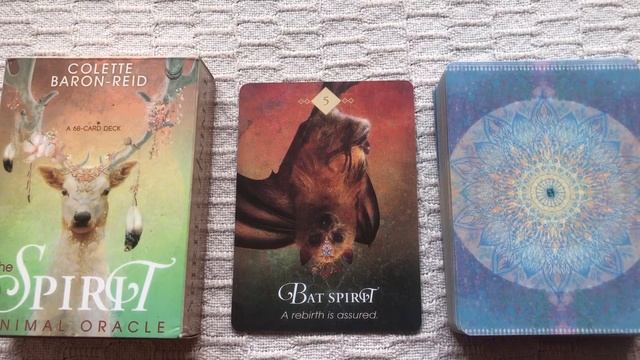The Spirit Animal Oracle 05/68 Bat guide book audio description смотреть онлайн