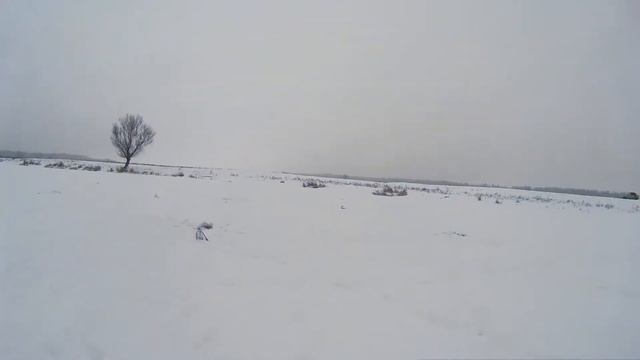 Первая зимняя рыбалка 2019. Щука на жерлицы смотреть онлайн