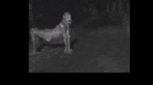 рейк или человек грабли история