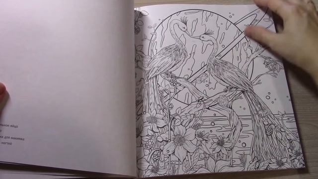 НОВИНКА! СКРЫТЫЕ МИРЫ ФАБИАНА АТТАНАЗИО ОБЗОР РАСКРАСКИ смотреть онлайн