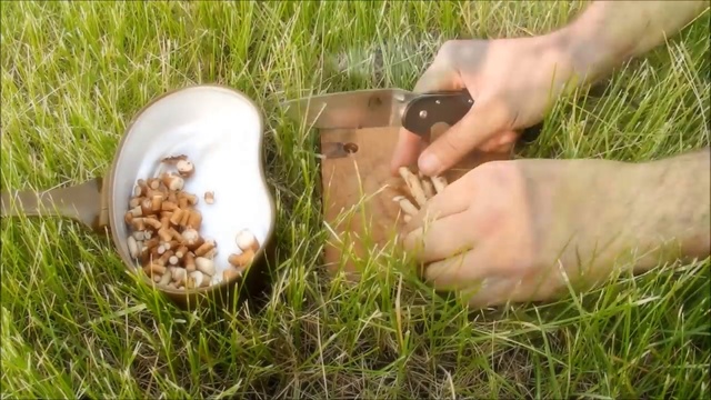 Кофе из корней одуванчика.Рецепт приготовления смотреть онлайн