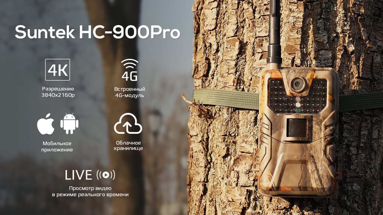 Фотоловушка Suntek HC-900Pro: видео 4К, live video, управление с телефона смотреть онлайн