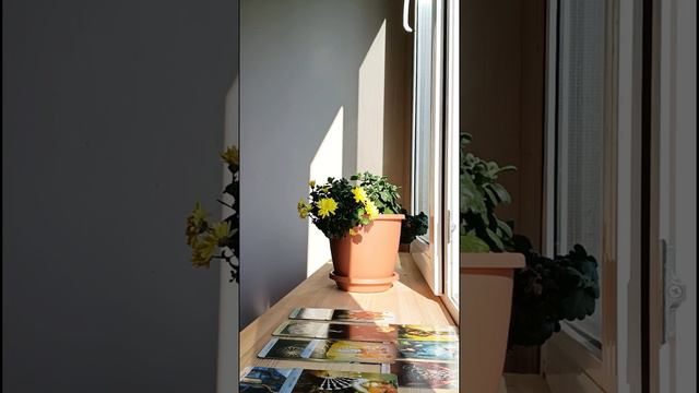 Сомнения. И что с ними делать? смотреть онлайн