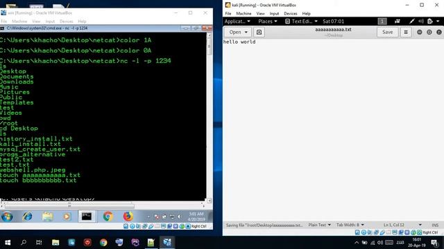 REVERSE SHELL NETCAT for windows or linux os