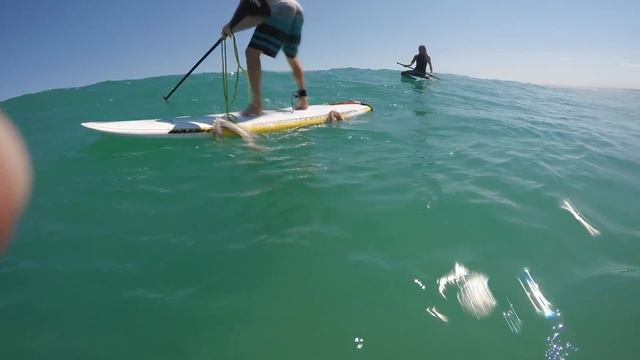 Giant Squid Attacks Surfboard! смотреть онлайн