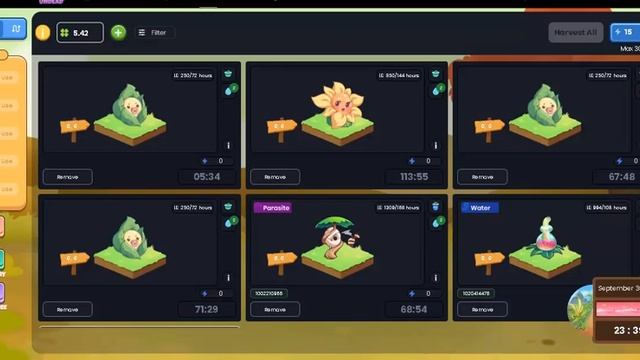 Error Network Plants vs Undead (Chrome Windows 7) смотреть онлайн