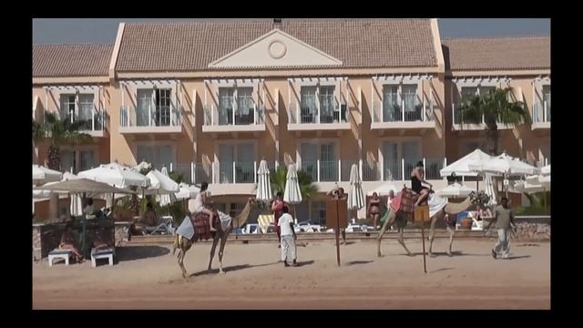 Все говорят, что тут лучше. Отдых в Egypt. Хургада. Эль-Гуна. смотреть онлайн