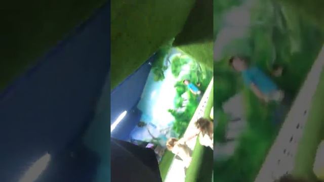 Joki Joya Джоки Джоя